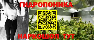 прущий лед Новозыбков