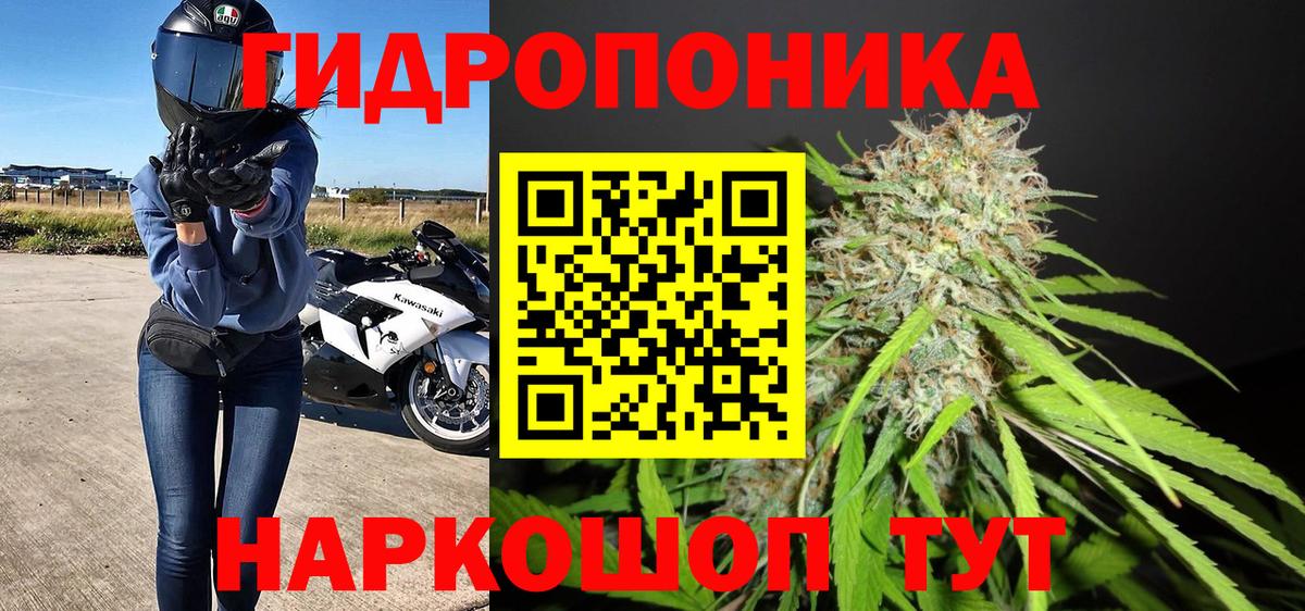 Бошки марихуана Amnesia  Вход с VPN  Канабис MAZAR  Канабис сатива  МАРИХУАНА Ganja  Тимашёвск 